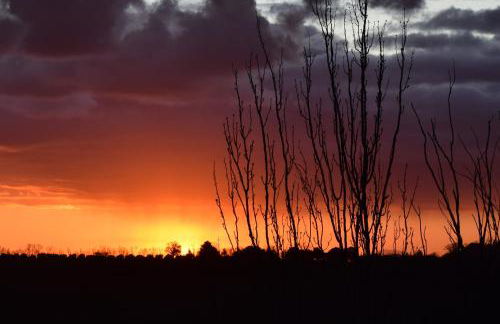 Casa Collemar - Foto 34