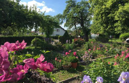 Lieblingsnest - Foto 23