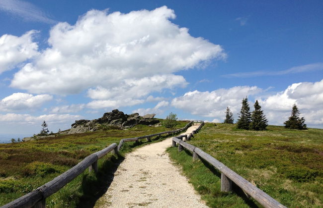 FeWo Waldheimat - Foto 21