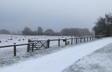 Cosy Stable at Oak Farm - Foto 12