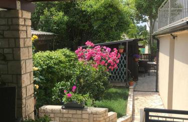 App Sorgo - Photo 46