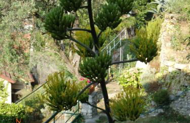 Villa Bianca - Foto 8