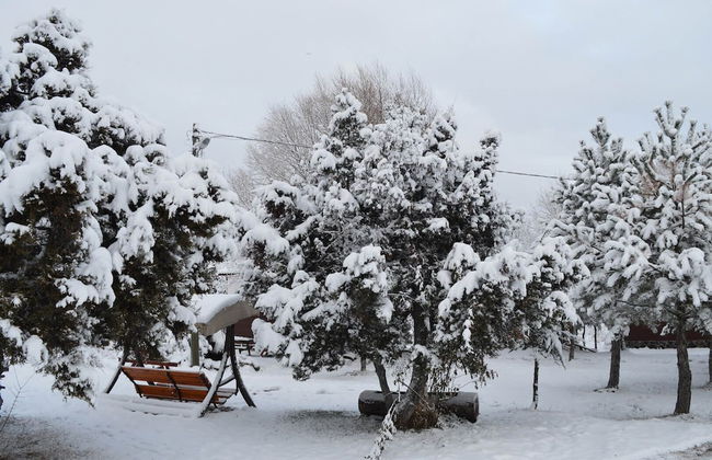 Kibriscik Koroglu Dag Evleri - Photo 45