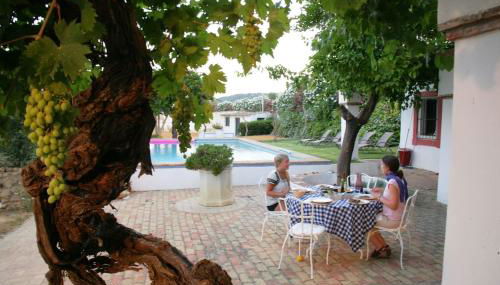 Cortijo El Triguero N-398 Ctra Carmona – El Viso del Alcor Km 18 - Foto 3