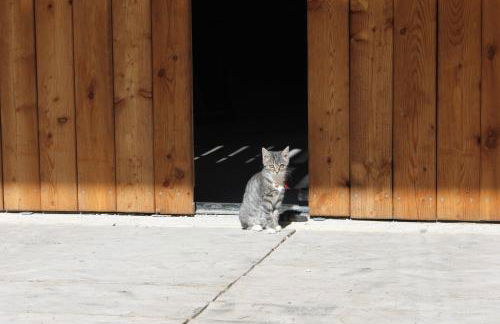 Beikircherhof - Photo 33