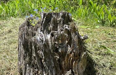 Maso Giulia - Foto 30