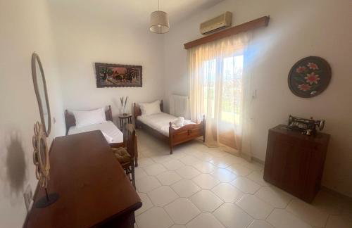 Eleocharis near Amfilochia & Amvrakikos Gulf - Foto 31