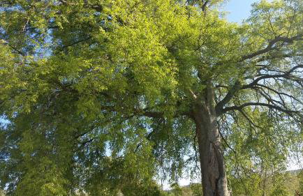 Apartment Nika - Foto 16