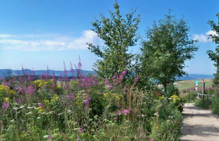 Ferienwohnung Am Himmel - Foto 12