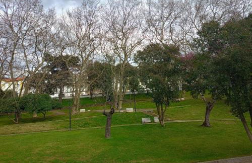 CASA da Corredoura by NaturAlegre - Foto 39