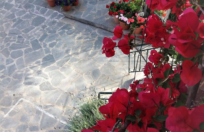 Ziogas Luxury Apartment's - Foto 7