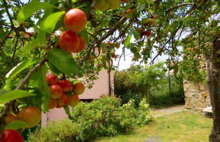 Country House With Big Garden - Photo 40