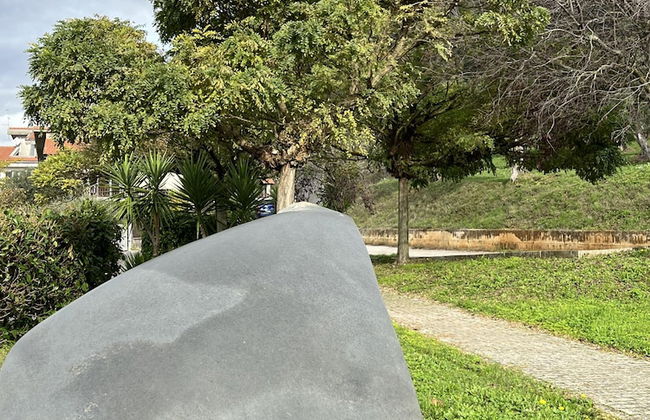 Preta Nera Intera in Giuliano di Roma - Foto 42