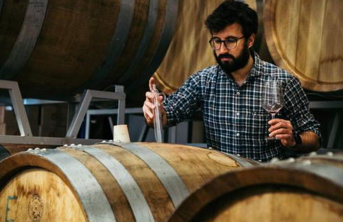 Polisena L'Altro Agriturismo Veg - Foto 49