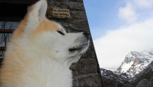 Casa Rural La Cabaña del Valleyu - Foto 4