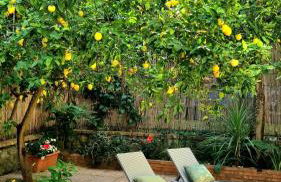 Maison Chrilò, Sorrento - Photo 26