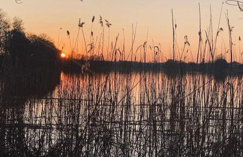 Urlaubsidylle Friedrichswalde - Foto 31