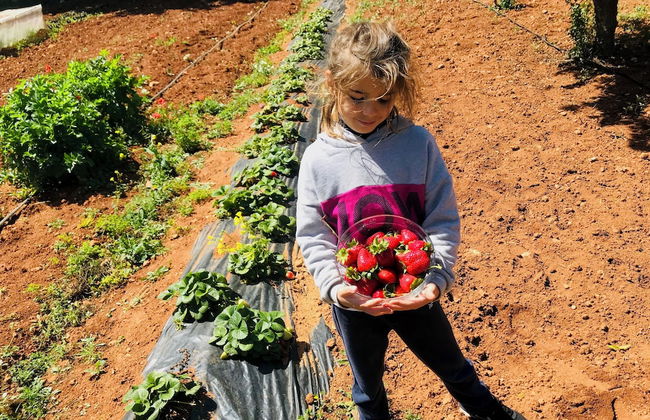 Villa Laura - Foto 25