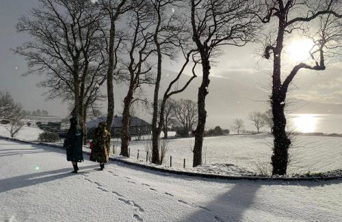 Ash, Birch and Rowan Self Catering Cabins - Photo 37