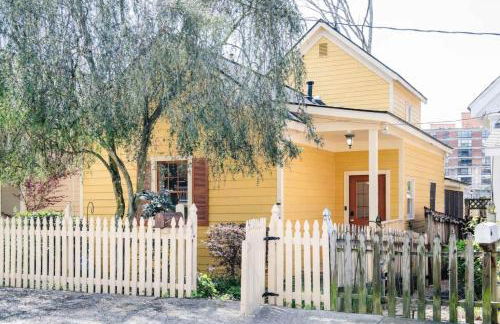 Savannah Safari - Foto 5