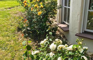 limonvélo - Foto 19