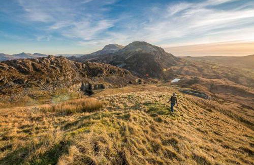 Stabal-Derwin - Photo 22