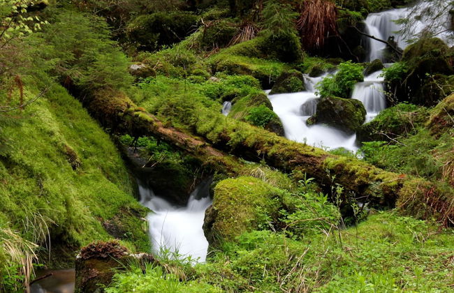Ferienwohnung im Bernautal - Foto 19