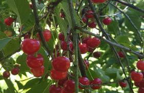 in die Ferien mit 16 Freunden - Foto 21