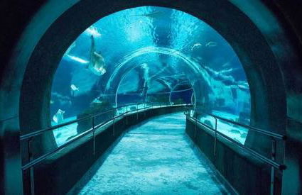 Casa Lindíssima e Espaçosa com 2 Piscinas - Adulto e Infantil, Perto da Praia, Opção da Piscina Adulto Aquecida Cobrado à Parte, 4 Quartos Frente as Piscinas, Área Gourmet Completa com Churrasqueira, Forno e Fogão a Lenha, Mesa de Bilhar, Lareira na Sala - Photo 53