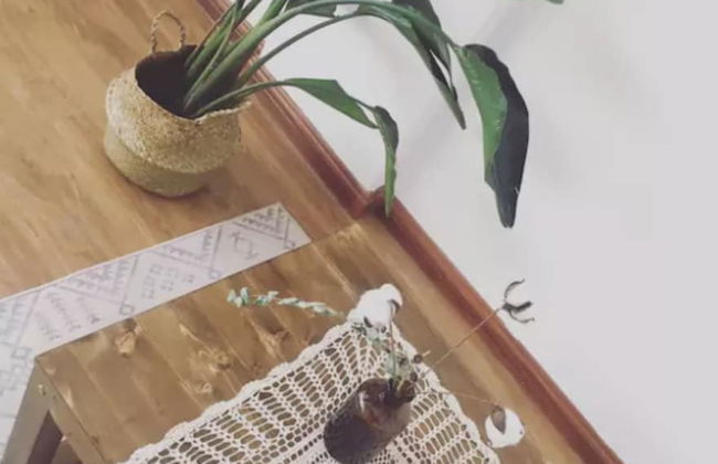 Xulai Haisu - Foto 5