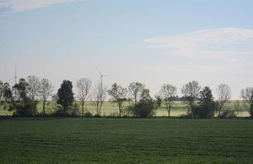 Ferienwohnung Walkershofen - Foto 6