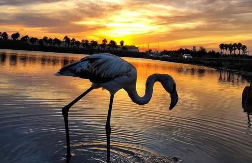 Beachfront House sea views near historic Cartagena - Foto 72