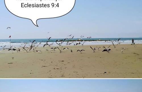 Residencial Lumar - Foto 31