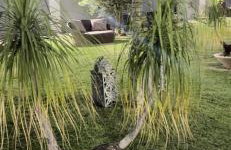 Mansão Primavera 03 quartos, piscina e churrasqueira - Foto 32