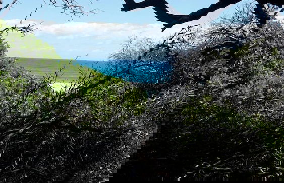 Schuster's Kraal - Foto 20