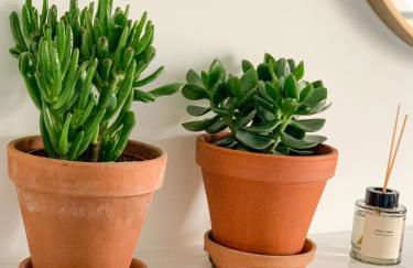 Zita Ferienhäuser - Ferienhaus Feni - Foto 20