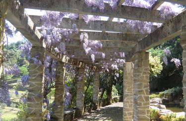 Quinta das Aveleiras - Foto 40