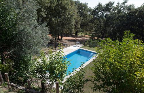 Abejas 1 de El Vergel de Chilla - Foto 38