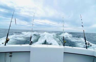 Pet Friendly Tranquil Cottage with Fire-Pit & Hot Tub Minutes to BEACHES - Foto 57