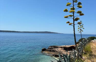 Sea view Eco house with pool, 250m to beach - Falcon View Hvar - Foto 38
