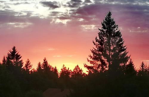 Edelstein Ferienwohnung Philippsreut - Foto 35