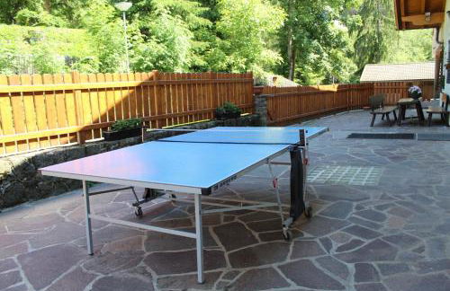 Haus Bergfrieden Seiser Alm Bahn - Foto 38