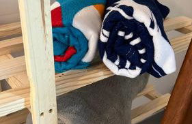 Tiny House Armação - Photo 21