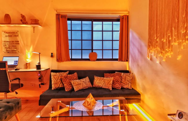 Citrus Studio By Paradox - Foto 18