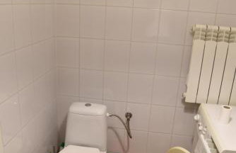 Agroturystyka Kobylnica nad Wisłą - Foto 23