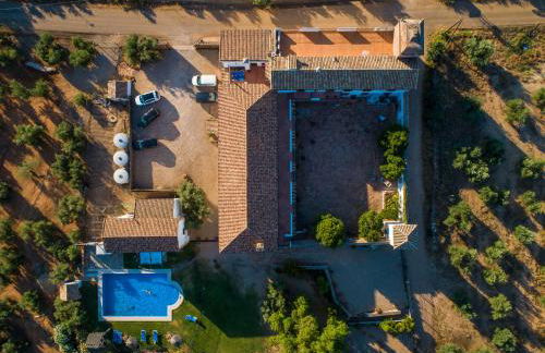 Molino la Nava - Foto 95