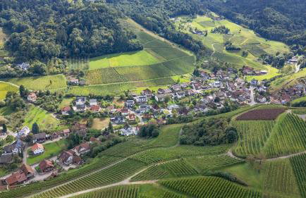 Ferienwohnung Bergblick - Foto 16