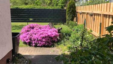 Gemütlicher Bungalow in Cottbus - Sielow - Foto 2