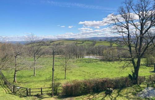 Beautiful Garden Cottage, close to Llandeilo. - Photo 21