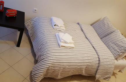 Patras Palm Tree - Foto 25